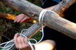 Survival Training